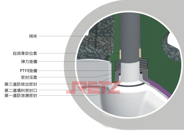 三维解剖密封结构图.jpg